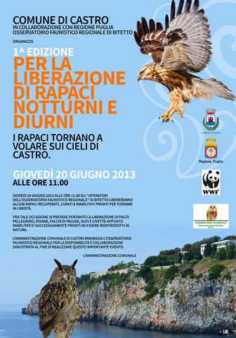 1st Edition for the liberation of diurnal and nocturnal birds of prey - June 20 2013 - Castro