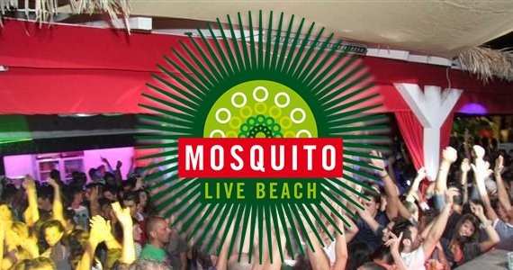 Mosquito live beach