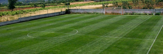 Soccer field grass - Marcello Molentino