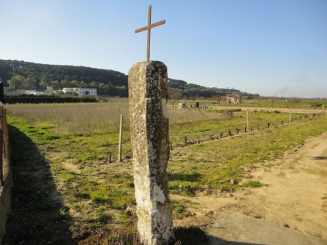 Menhir Coelimanna