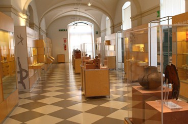 Museo Civico di Paleontologia e Paletnolgia