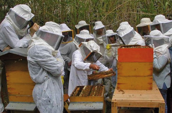 Giornata Flora Apistica: Escursione naturalistica e degustazione di miele